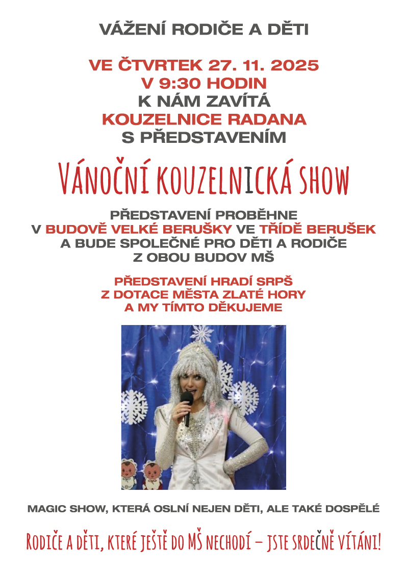 Vánoční kouzelnická show